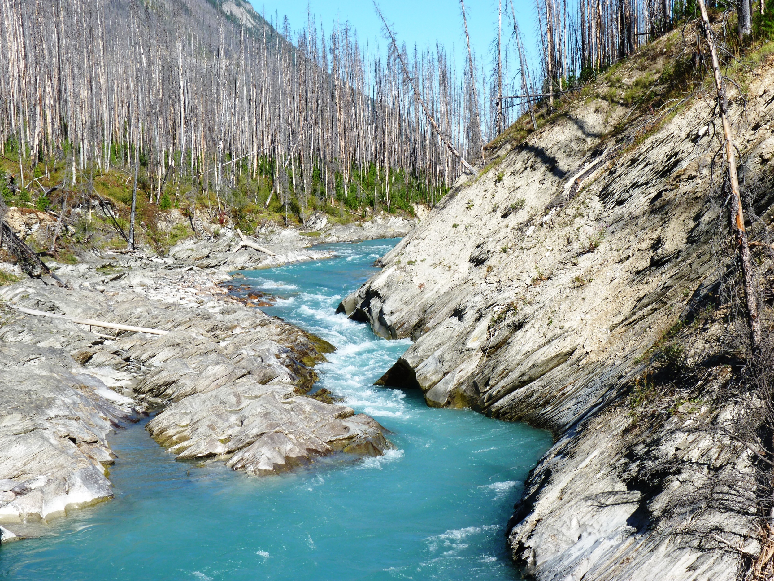 Flow Lake Trail, Kootenay NP