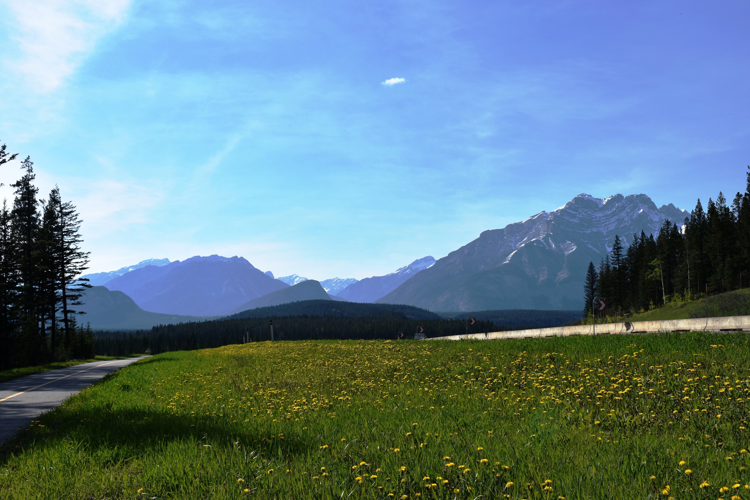 Along the Legacy Trail