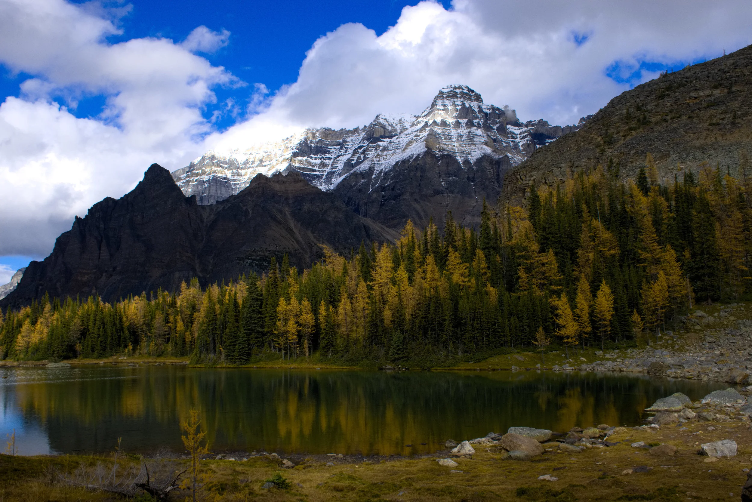 Schaeffer Lake, Yoho NP