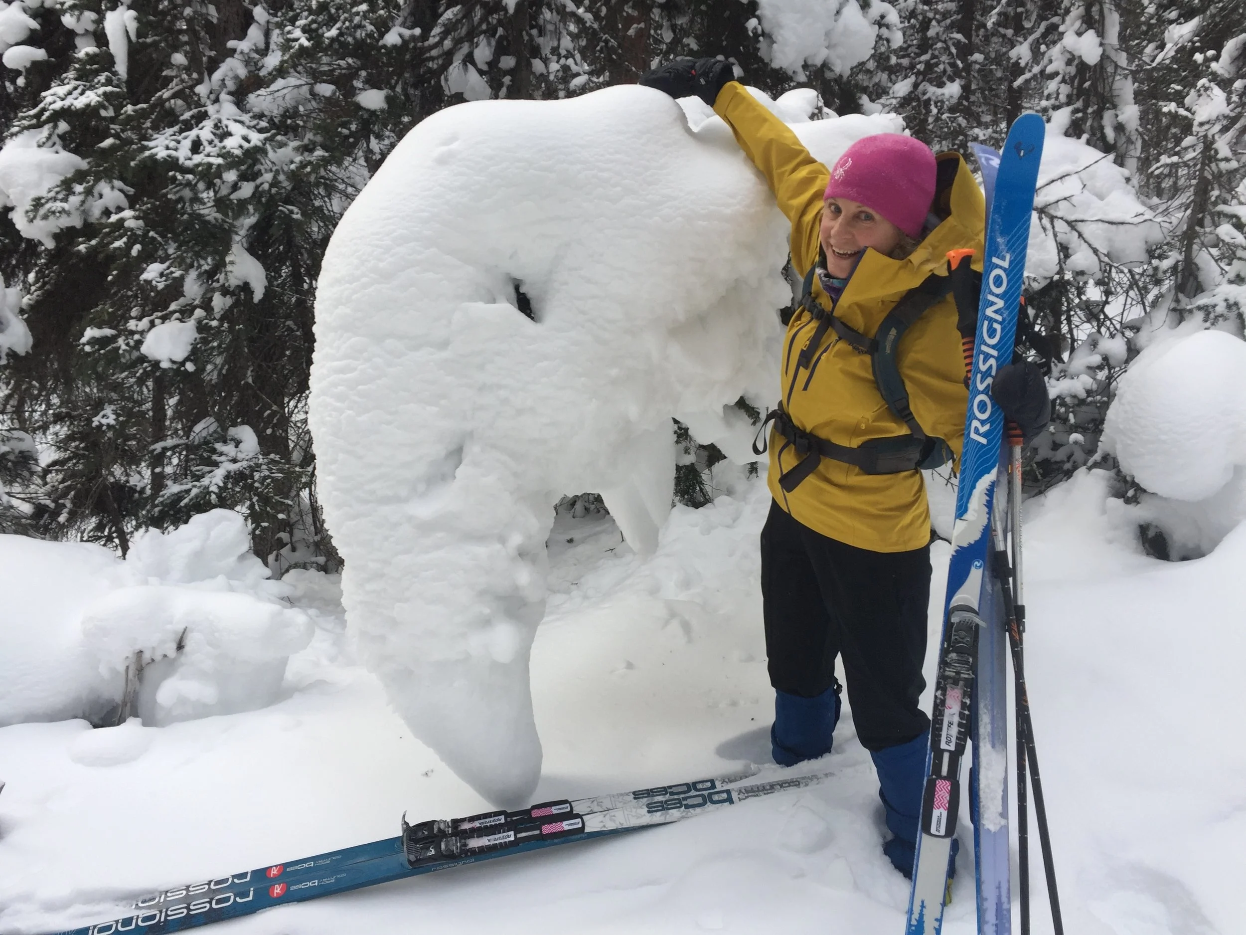 A Snowy Creature along the way