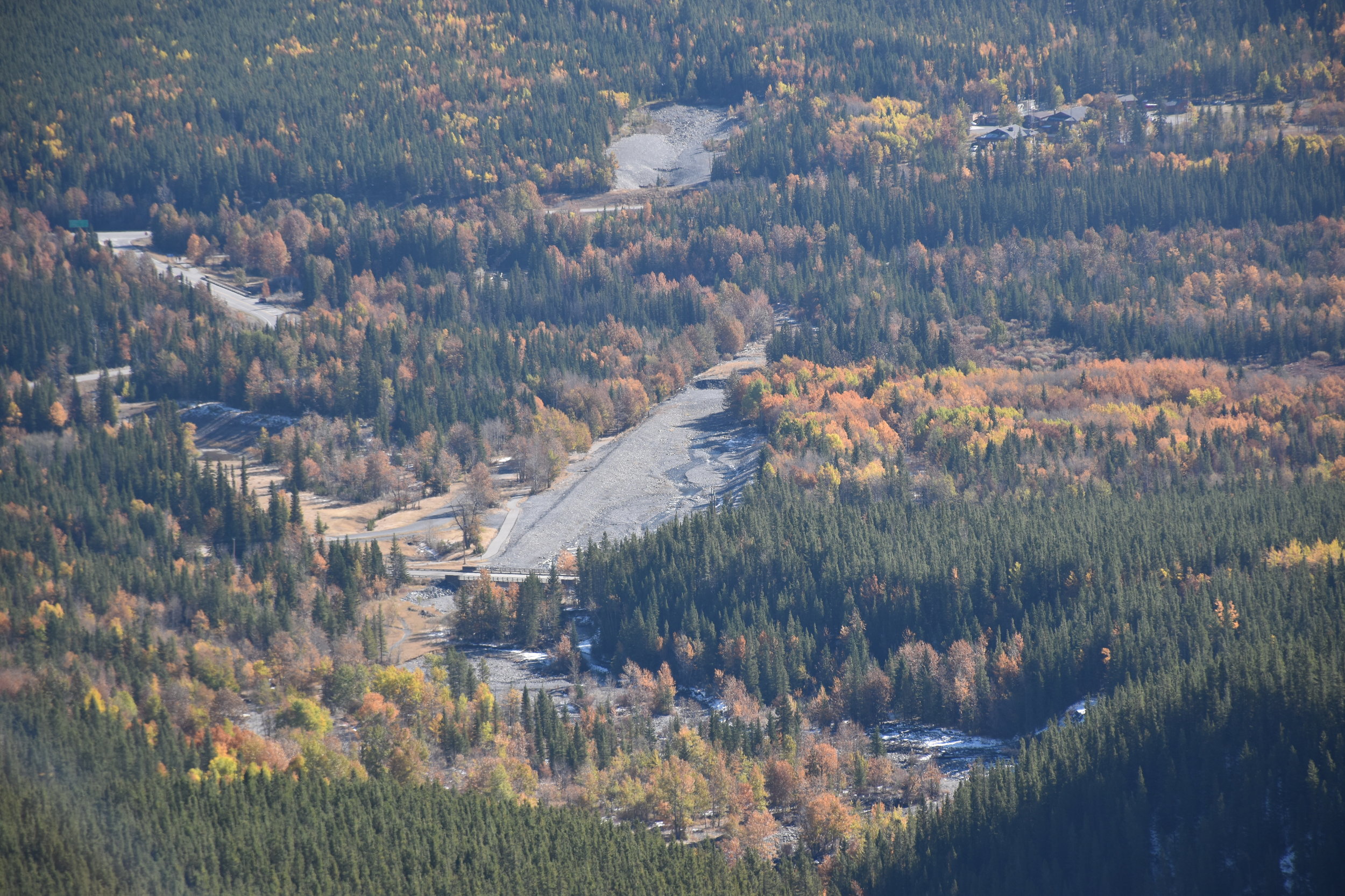 remaining fall colours