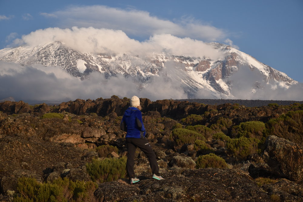 Day 2 view of Kilimanjaro