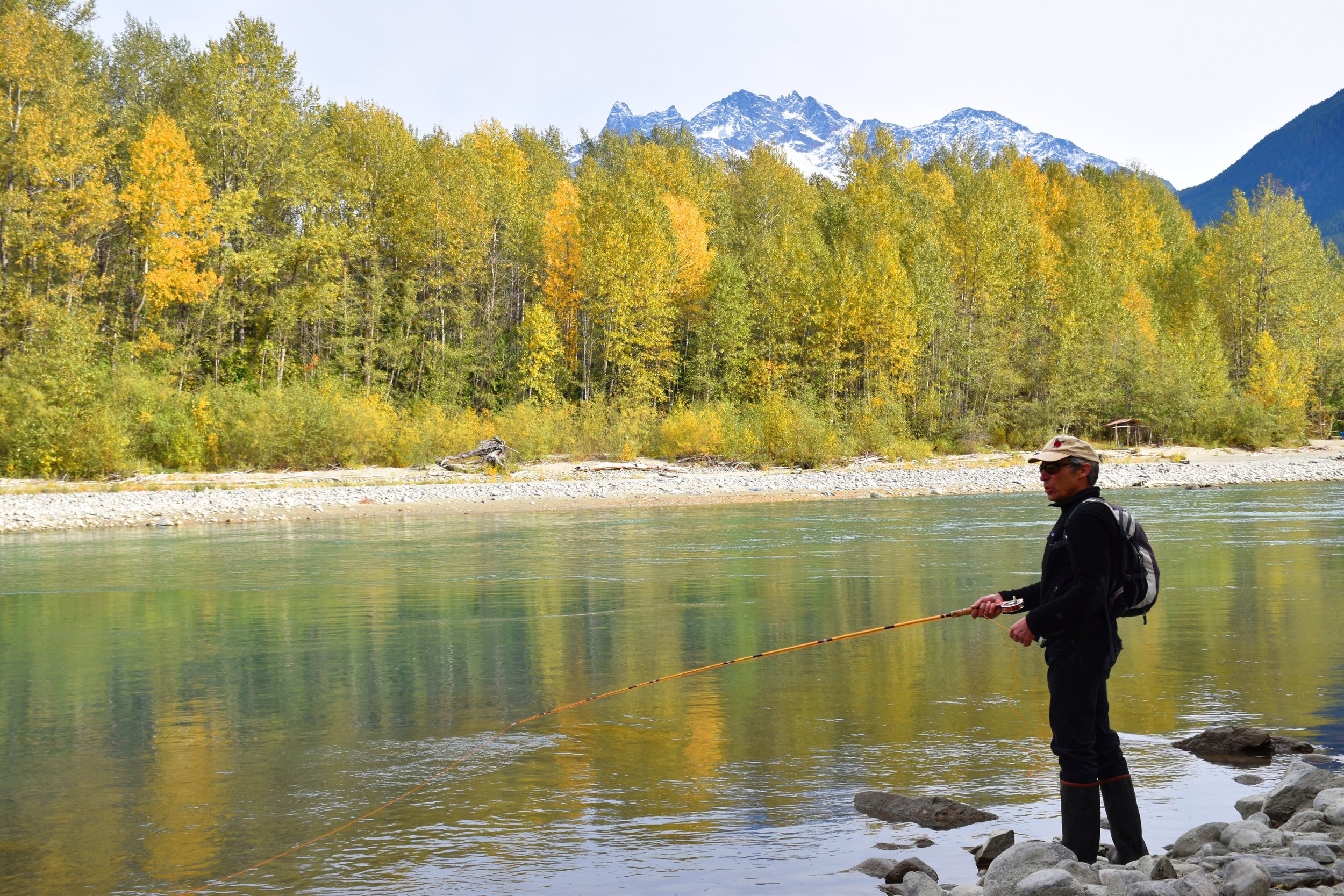 Grizzlies of Bella Coola — Grandview Chalet Bed & Breakfast