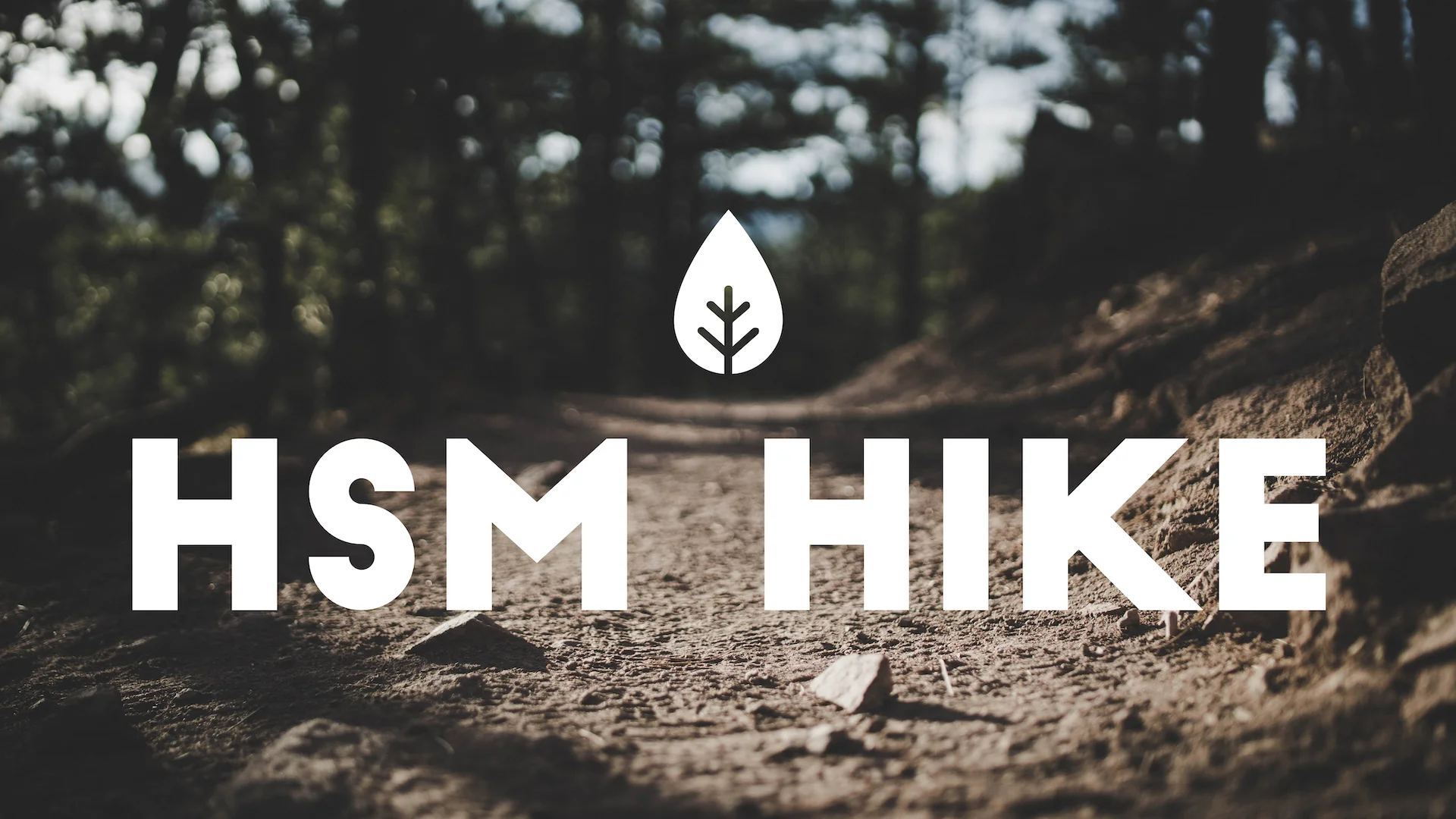 Promo - HSM Hike.jpg