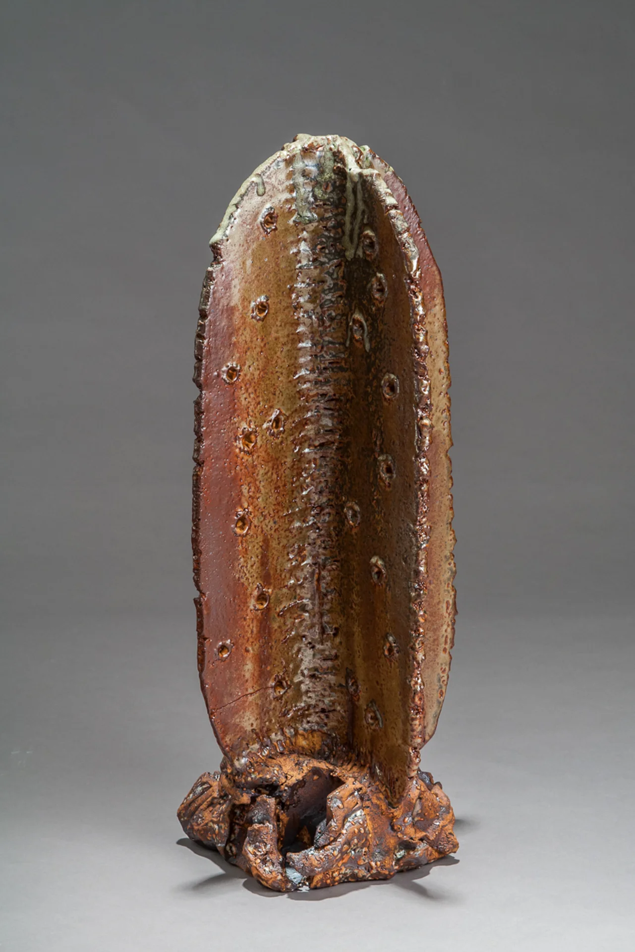 Burnt Pinna