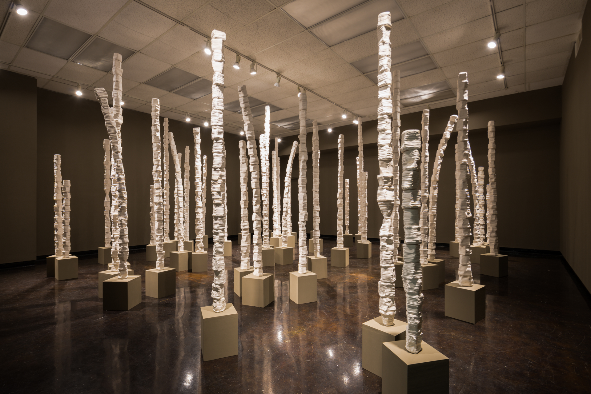 Making Places: February Stoneware, Steel, Wood Cone 6 Oxidation-fired Full-room Installation 10 x 29 x 23 feet 2015-2016