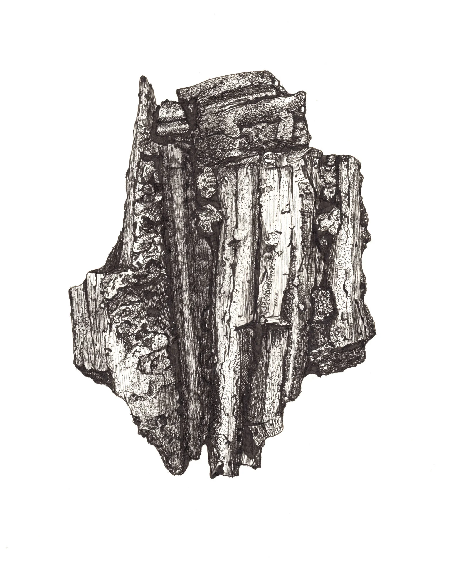 Fragment of Curiosity Study No. 29 Pen and Ink 9 x 12 inches 2018