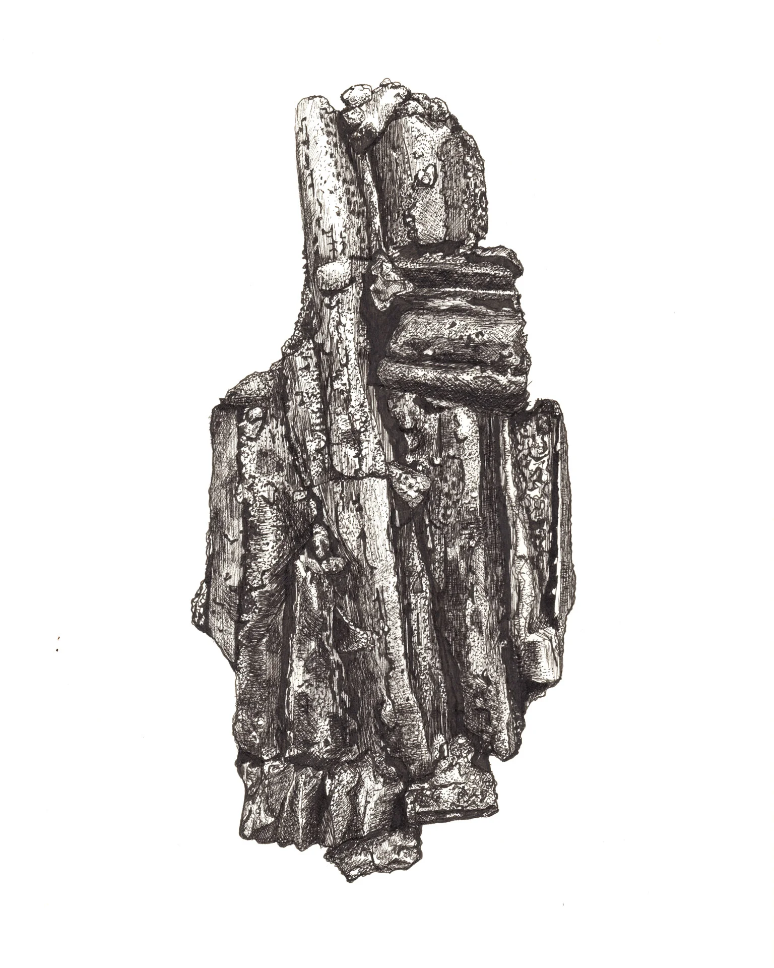 Fragment of Curiosity Study A Pen and Ink 9 x 12 inches 2018