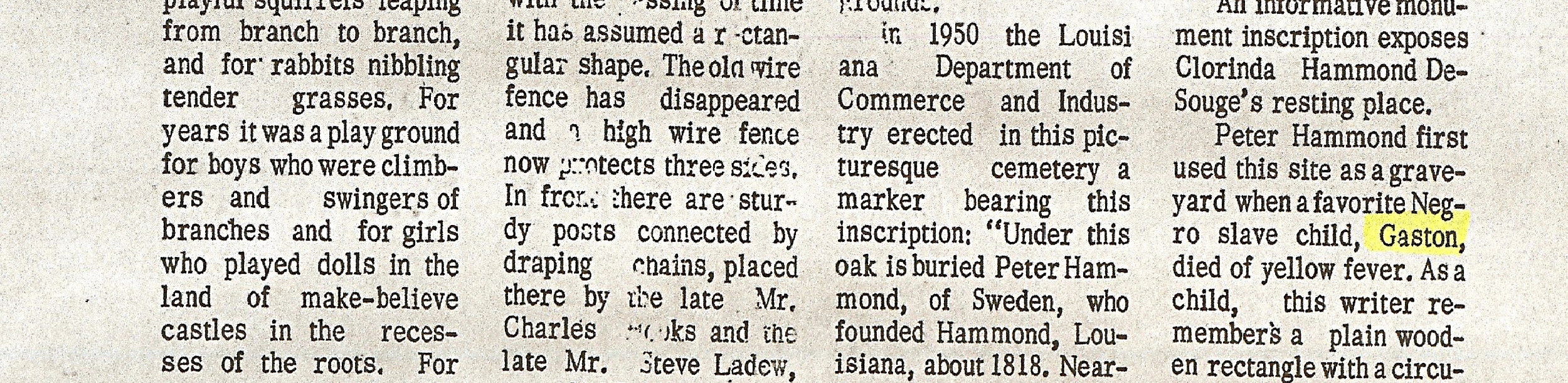 Velmarae Dunn Article Cut Out.jpg