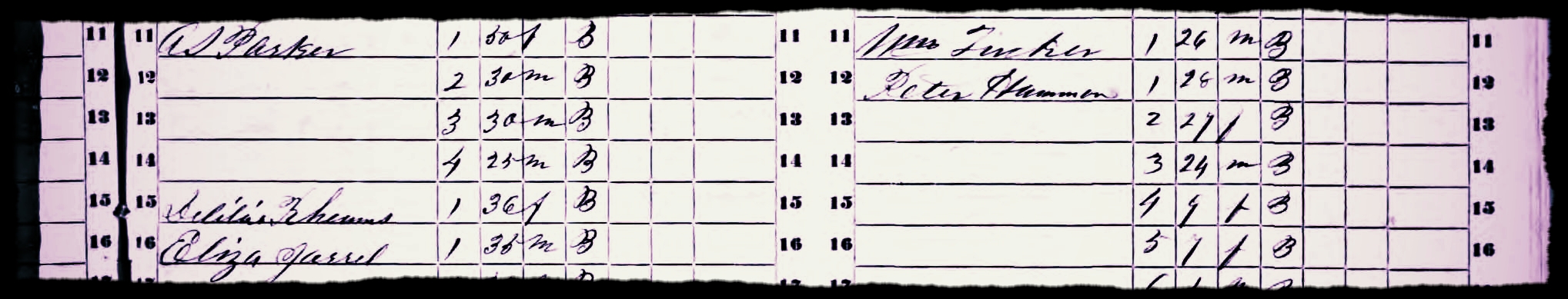 Slave Schedule 1850.jpg