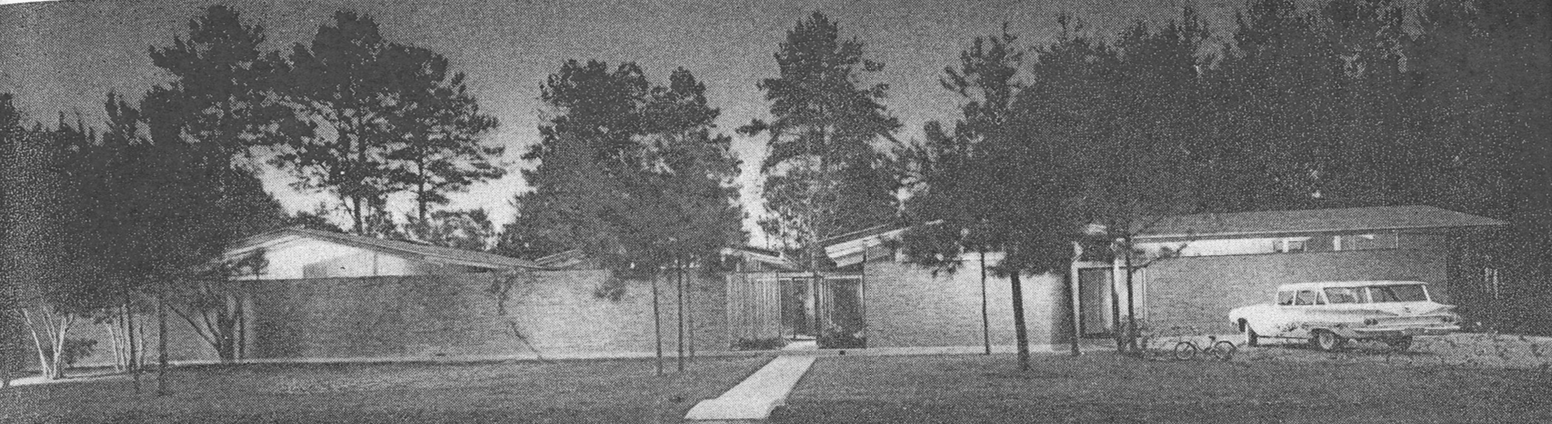 desmond house elevation.png