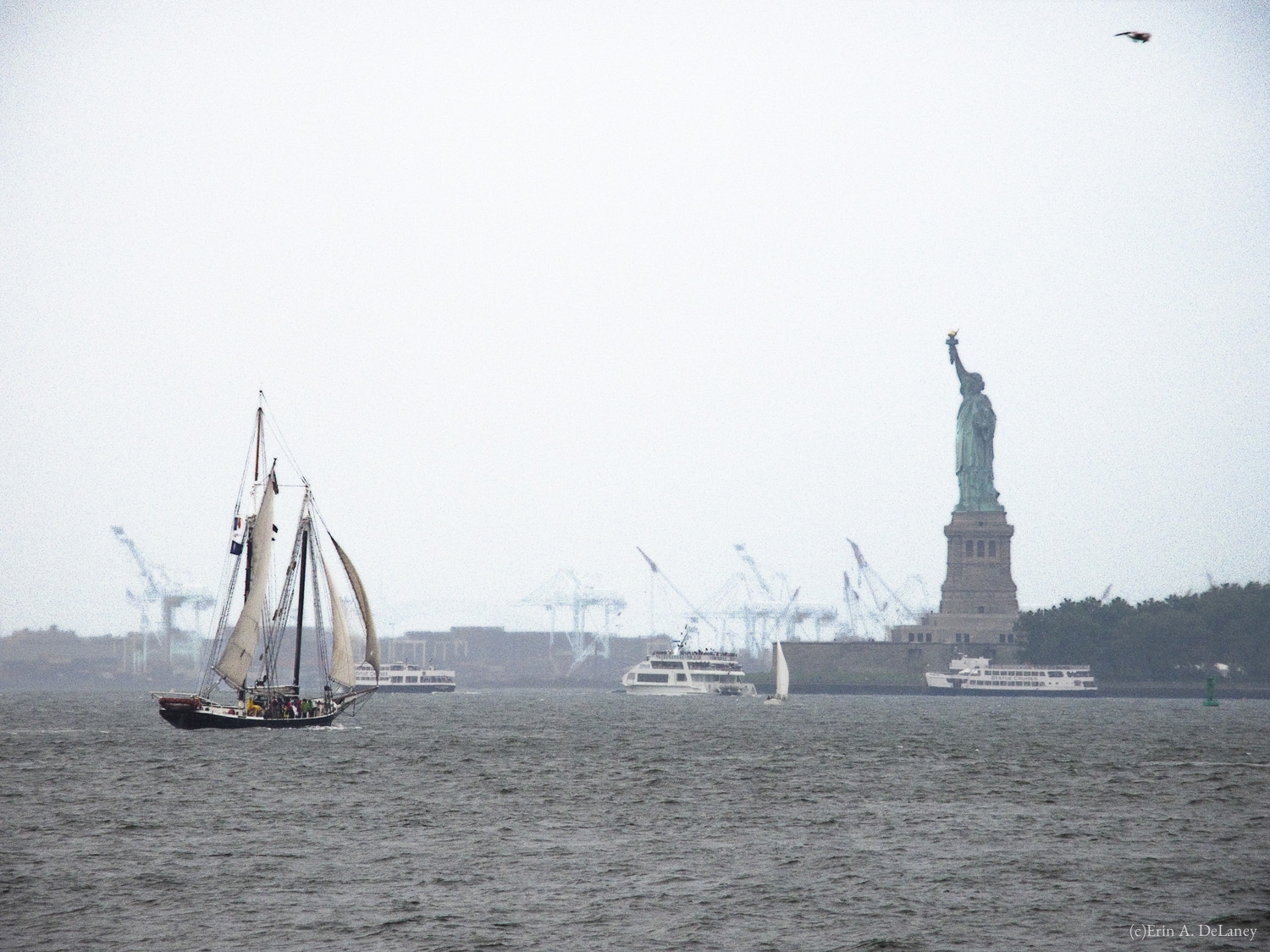 New York Harbor in Fog, 2013