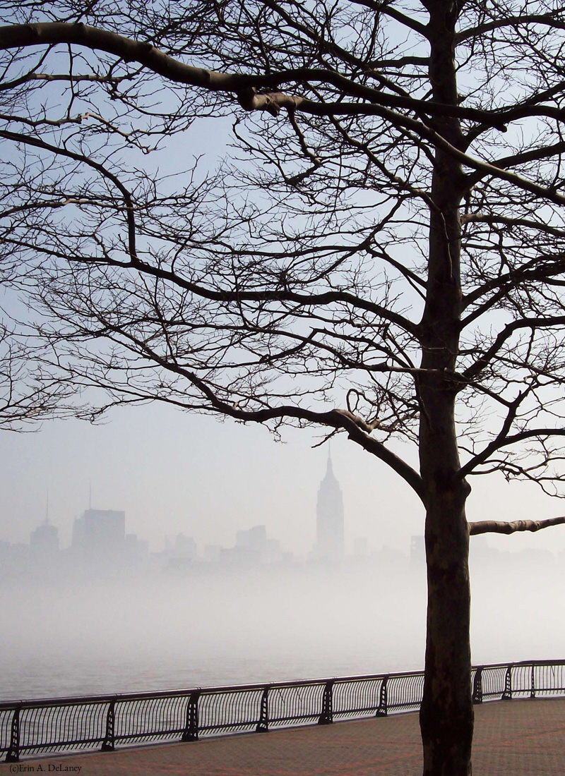 New York Skyline Silhouette with Tree, 2008