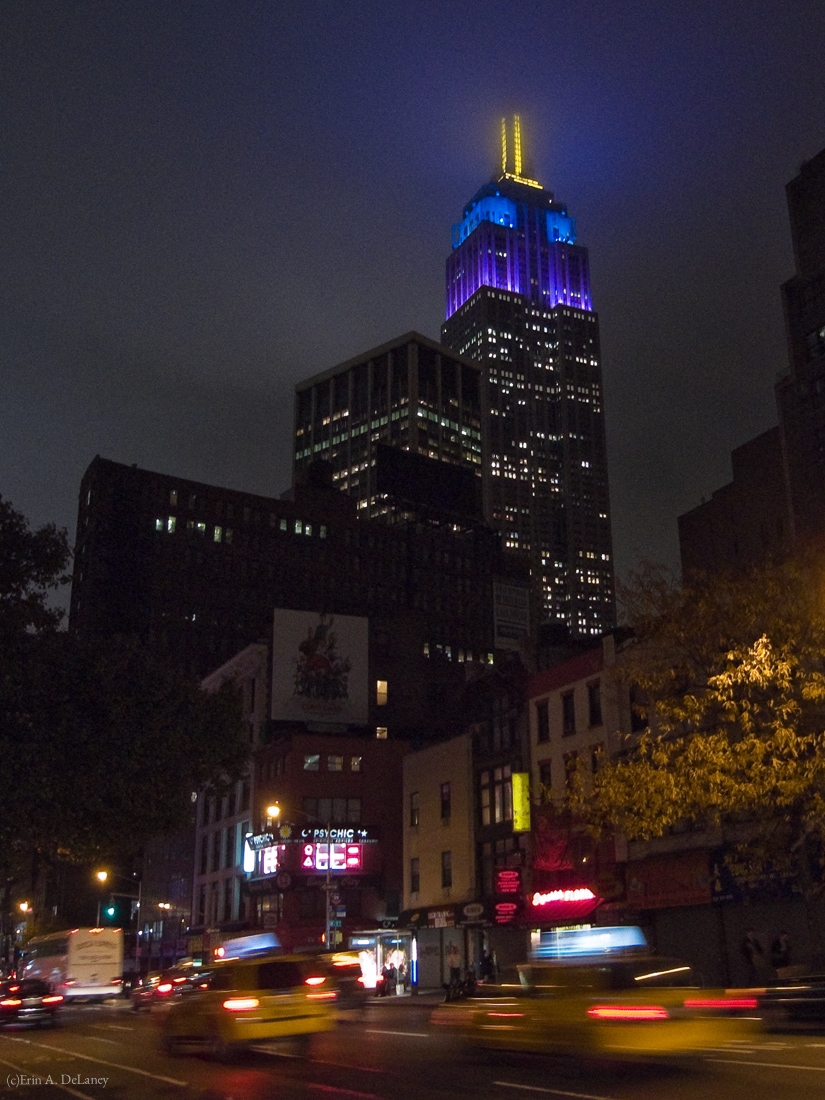 New York City Night Lights, 2011