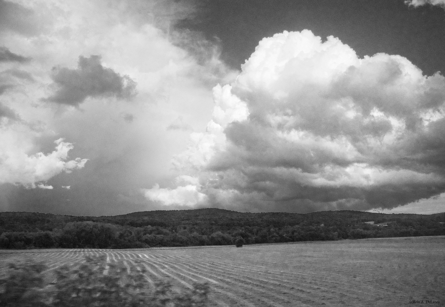 Clouds and Fields Vermont, Black and White, 2014