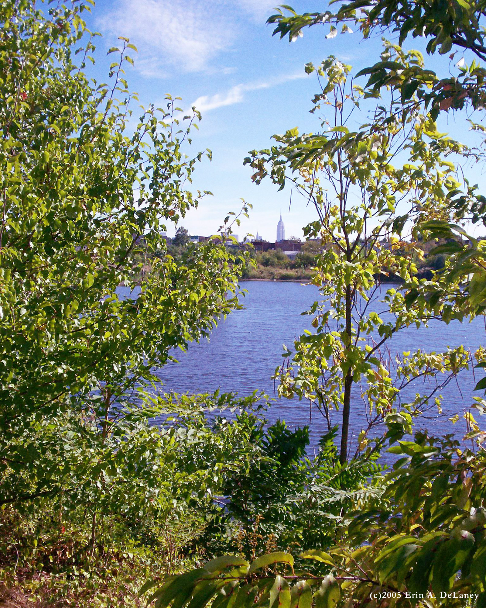 Views at the JC Reservoir, 2005