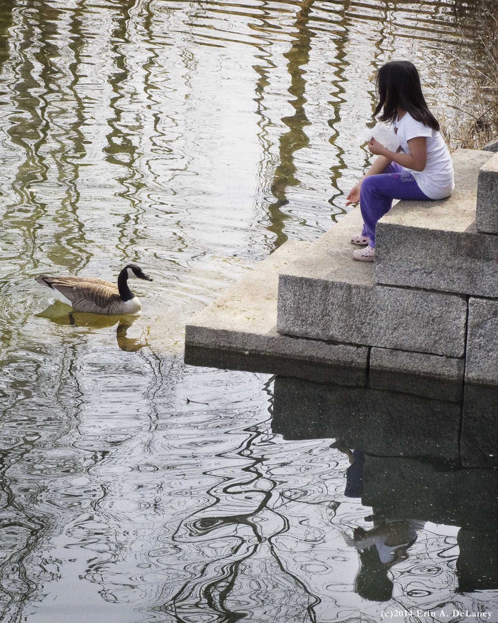 Sharing Lunch, 2014