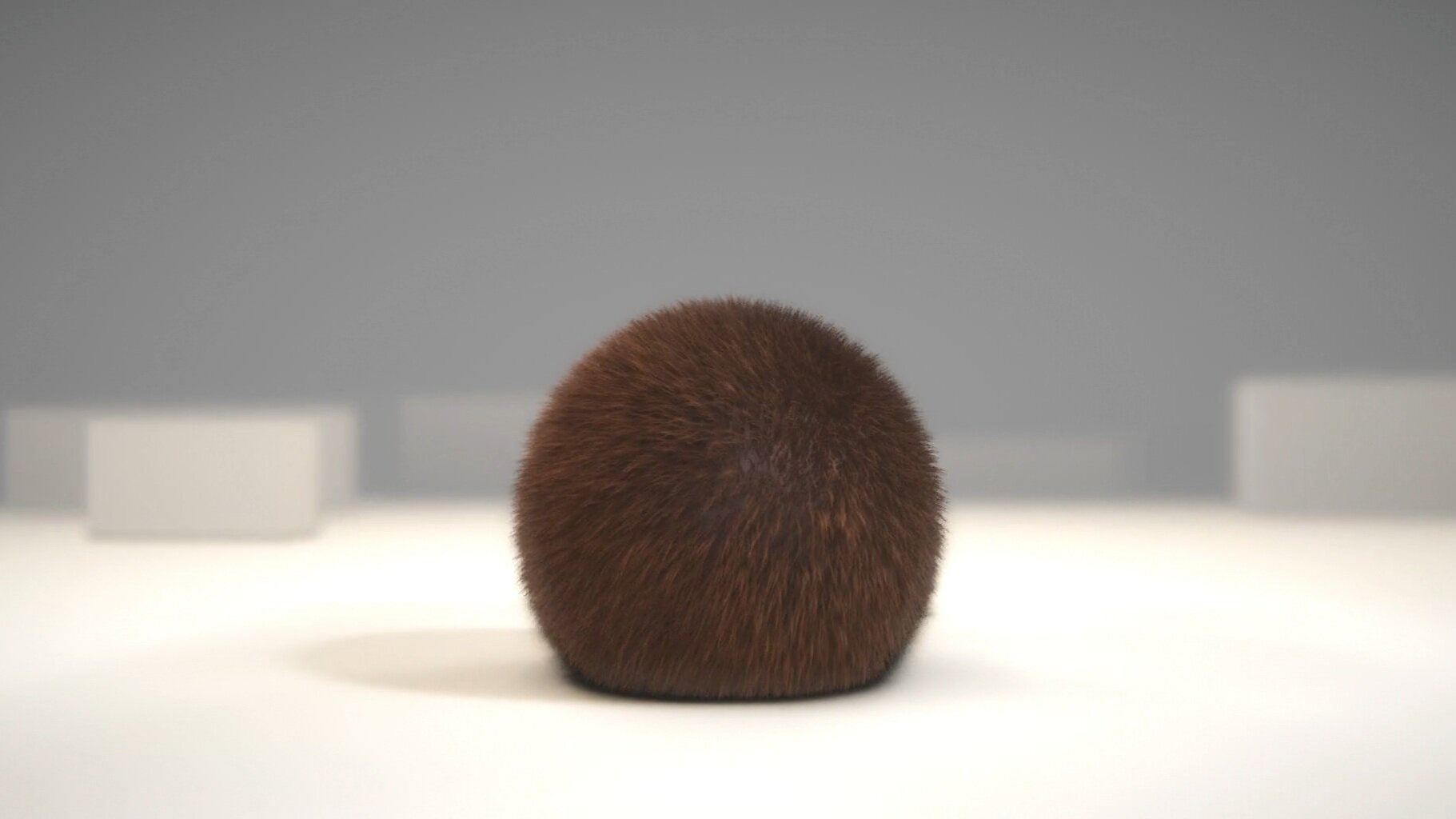 Fuzz