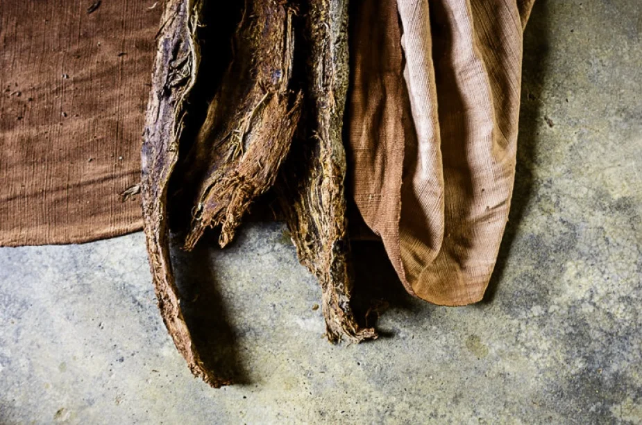 ROOT.jpg