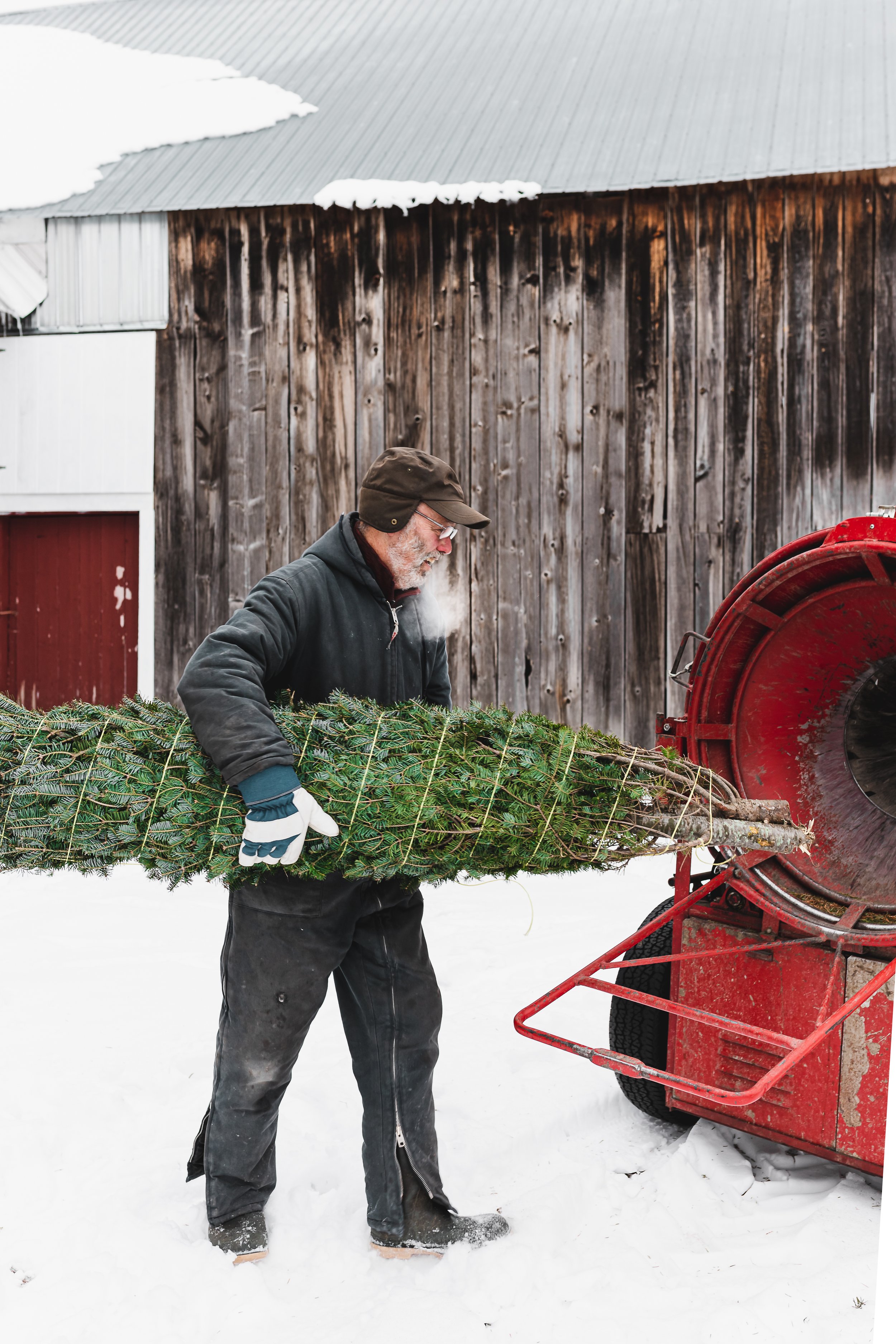 Christmas tree farm-75.jpg