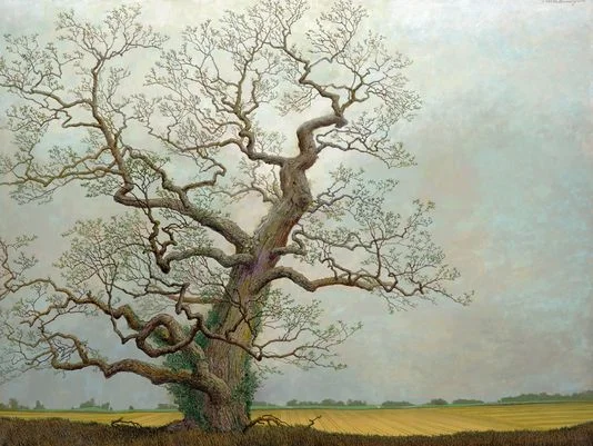 Charles Brindley,&nbsp;Ancient Red Oak on Edge of Agricultural landscape,&nbsp;2008&nbsp;oil on canvas,&nbsp;30x40&nbsp;inches