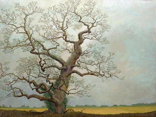 Charles Brindley, Ancient Red Oak on Edge of Agricultural landscape , 2008 oil on canvas, 30x40 inches