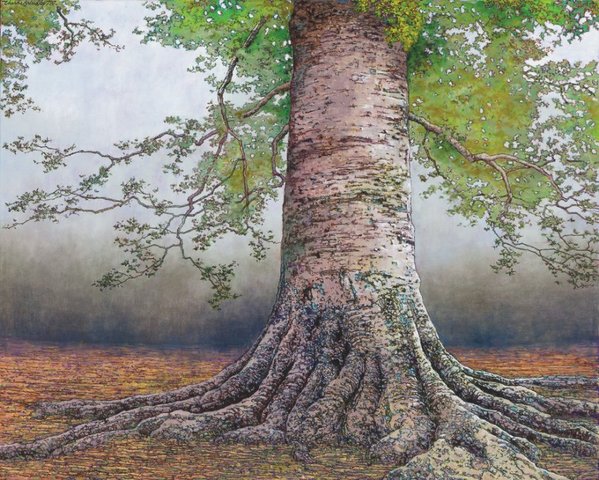Charles Brindley,&nbsp;Beech Tree in Granberry Grove,&nbsp;2014,&nbsp;oil on canvas,&nbsp;30x24 inches