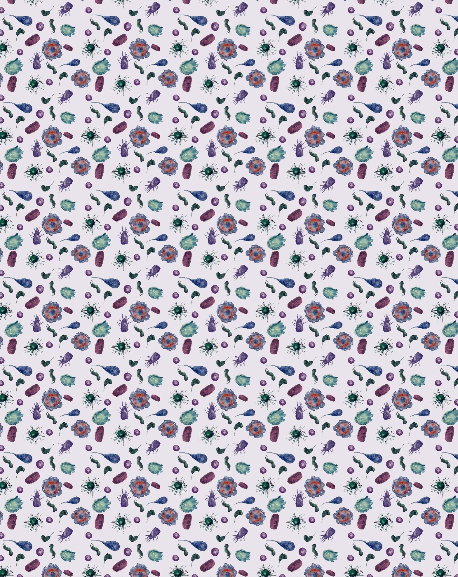 8F27A22D-BCFC-4D0A-B7A1-6DAC4EA0CE2F.jpeg