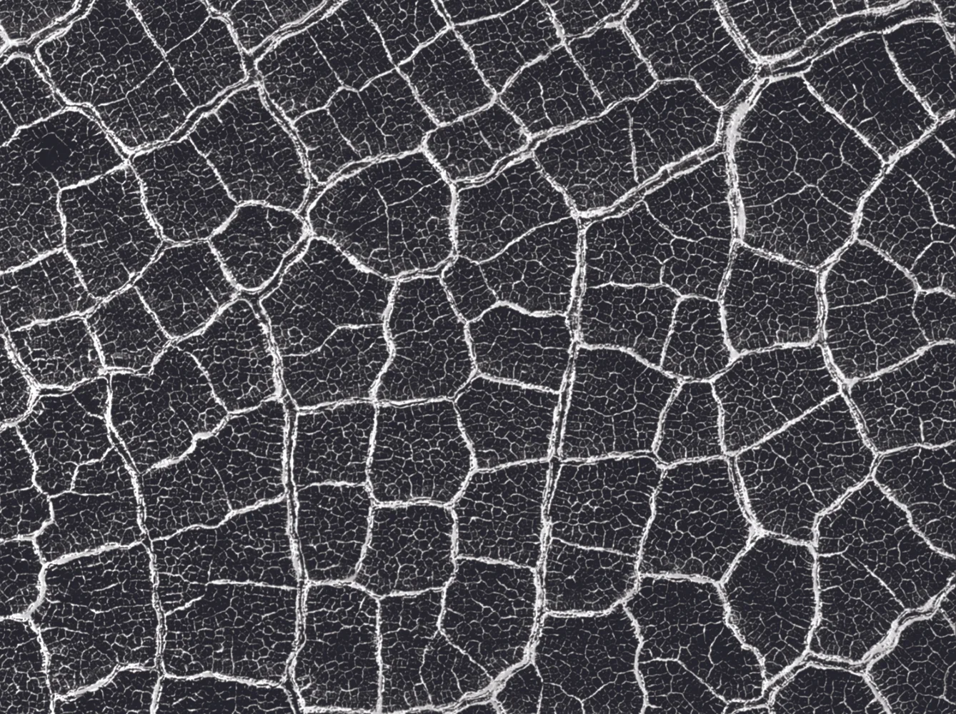  In collaboration with classmate Ossama Elkholy,&nbsp;this project was part of our Digital Representation class where the goal was to derive a rational, parametrized 3D landscape based on a given satellite picture of the surface of Mars. A pavilion-t