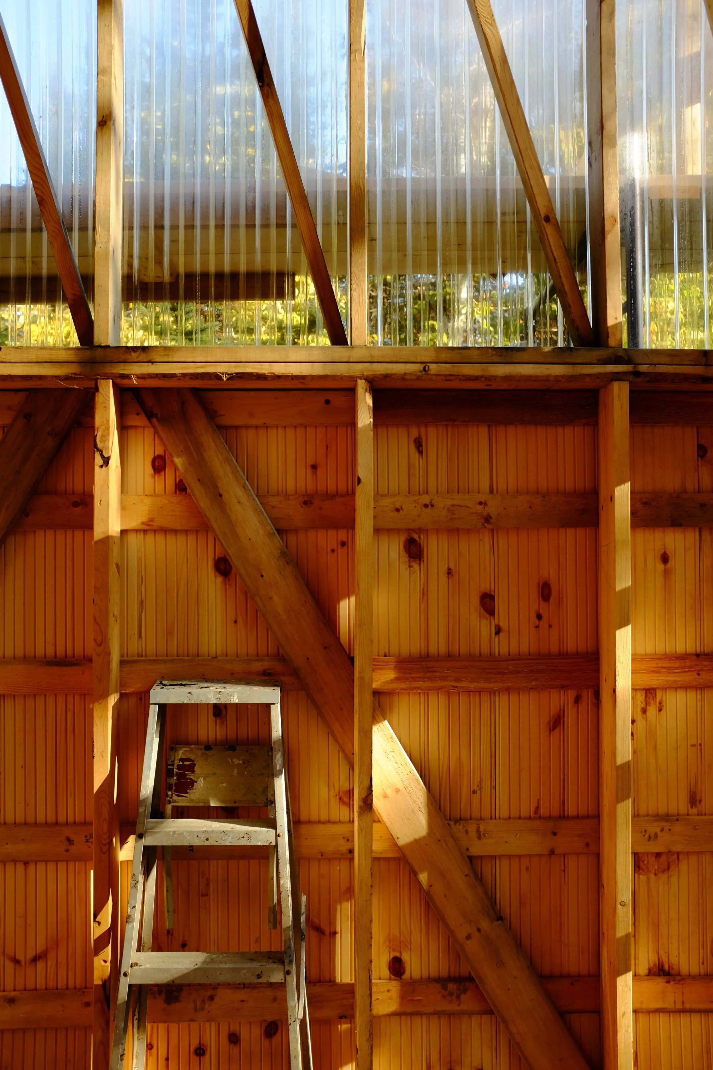 DSCF8168.JPG