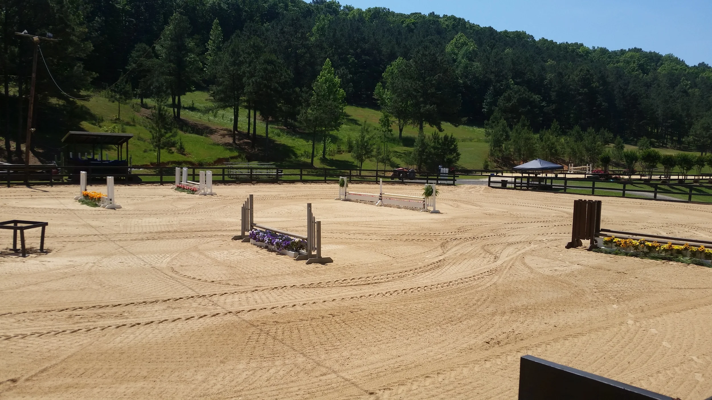 AHJA - Fox Lake Farm