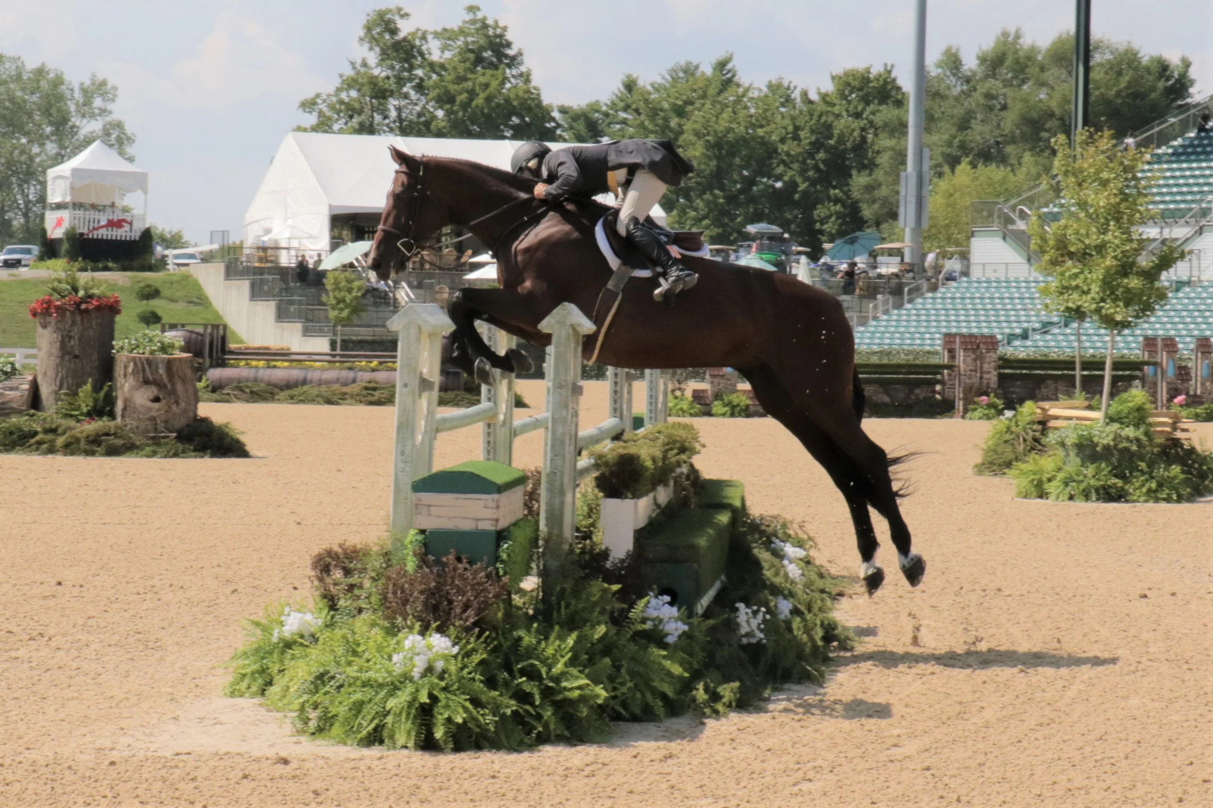 Fig Street's Duchess Rises to the Occasion at Derby Finals