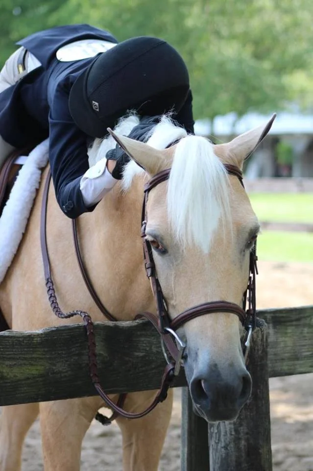Hagen giving Butter some love at Brownland Farm in Franklin, TN. Photo credits to Madison Massey. 