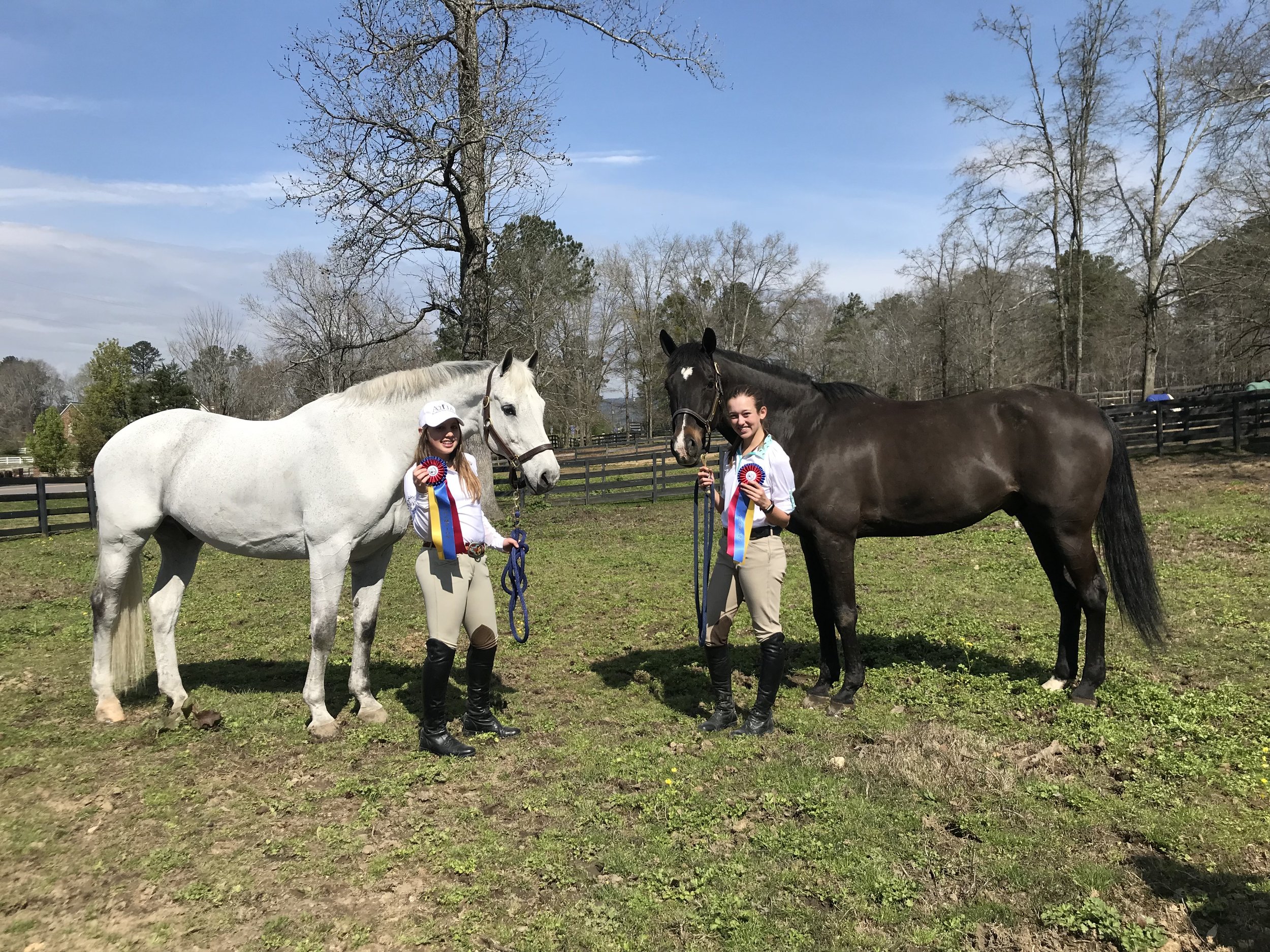 Emma Grace and "Wonder" with Sydney and "Dutch," posing with their ribbons. Wonder and Dutch decided they were pasture buddies on this trip.