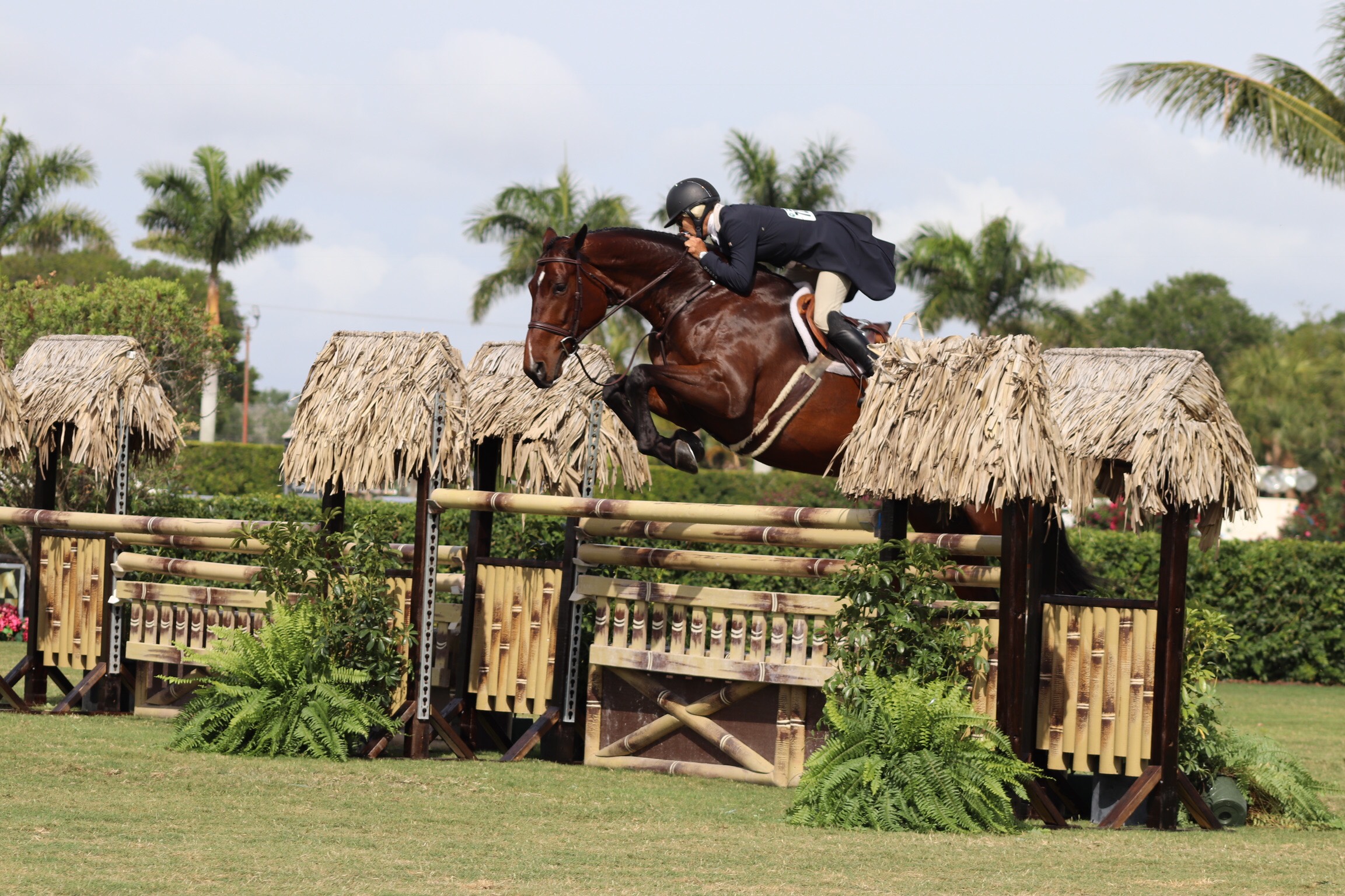 Holly and Gracie jumped all four high options available during the derby.