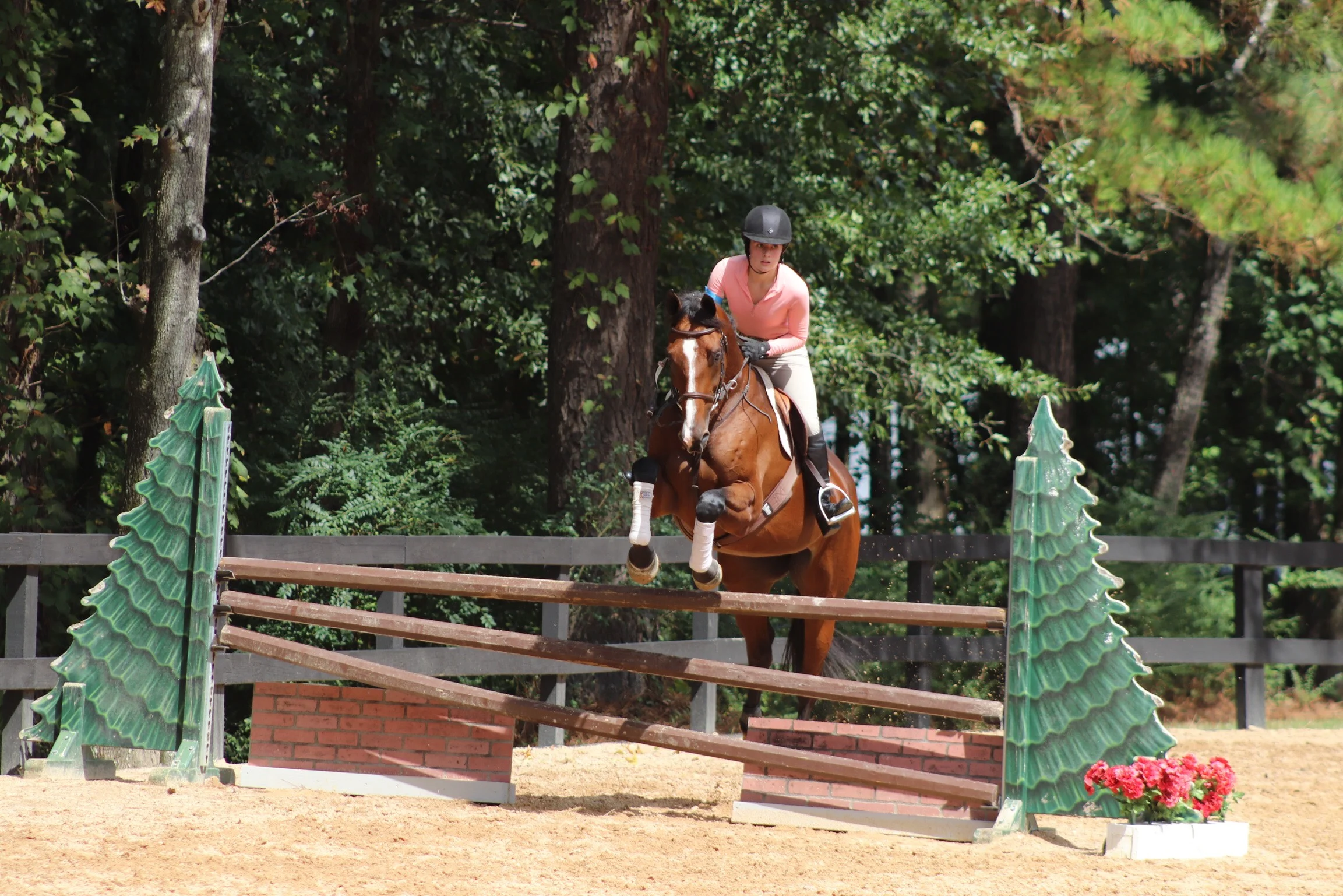 A Touch of Fall at Fox Lake Farm's Fall Party & 2nd Annual Jumper Show