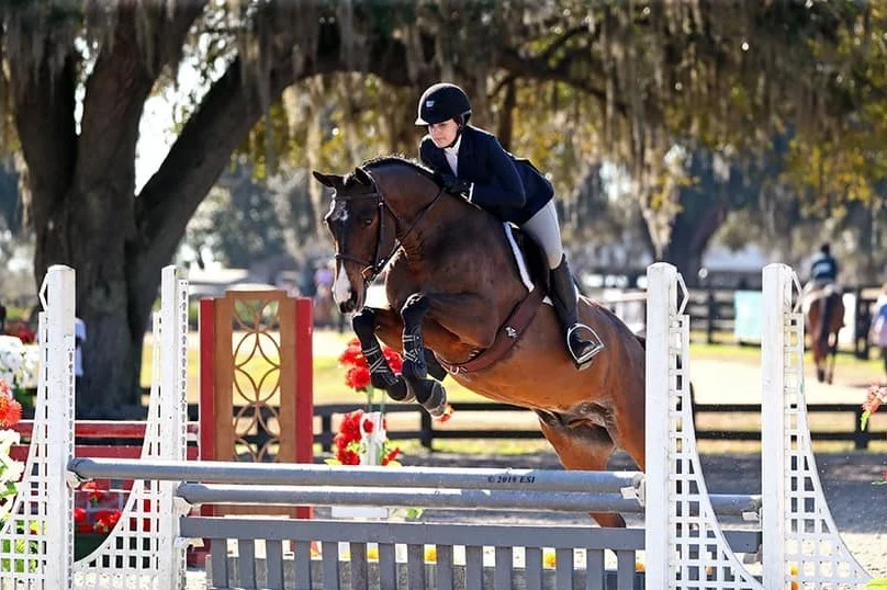 HITS Ocala IV & V