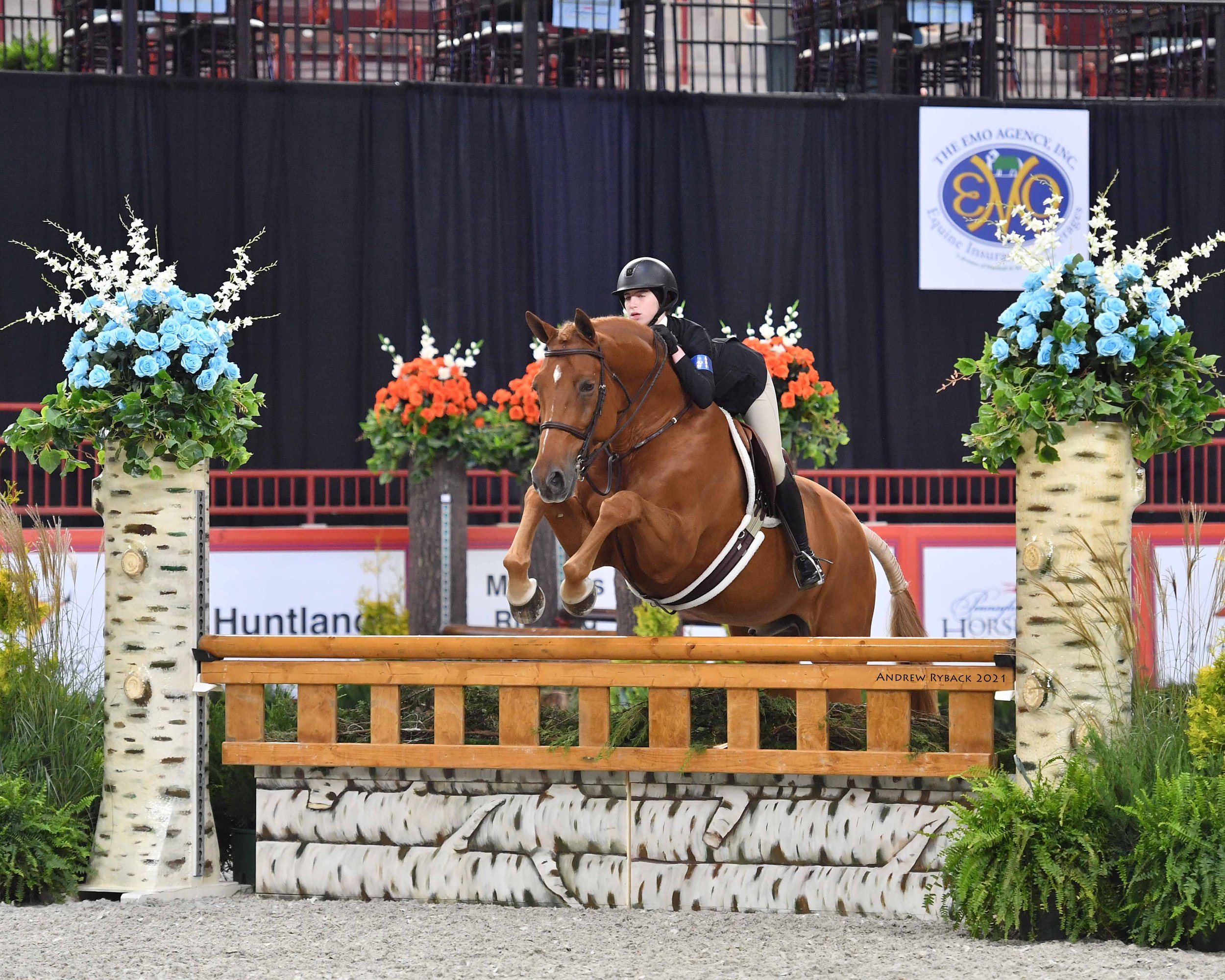 Jus D'O - Mimi Colette Frei - USEF junior hunter - Andrew Ryback.JPG