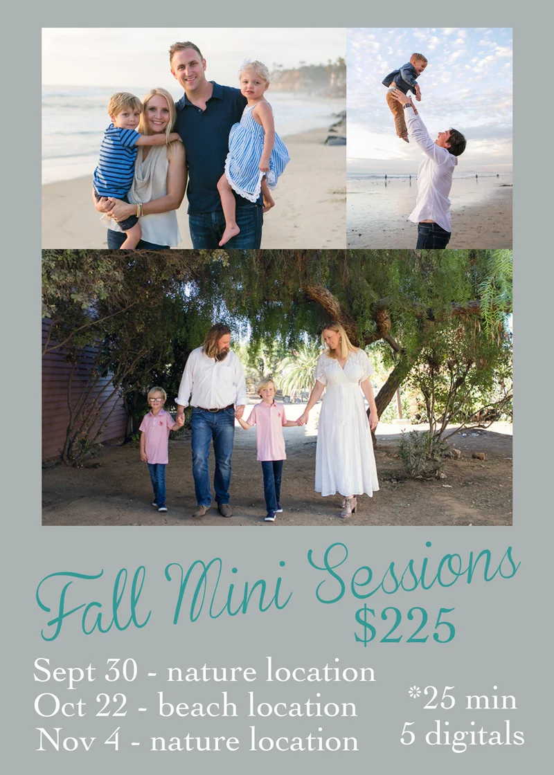 fall minis 2017e copy.jpg