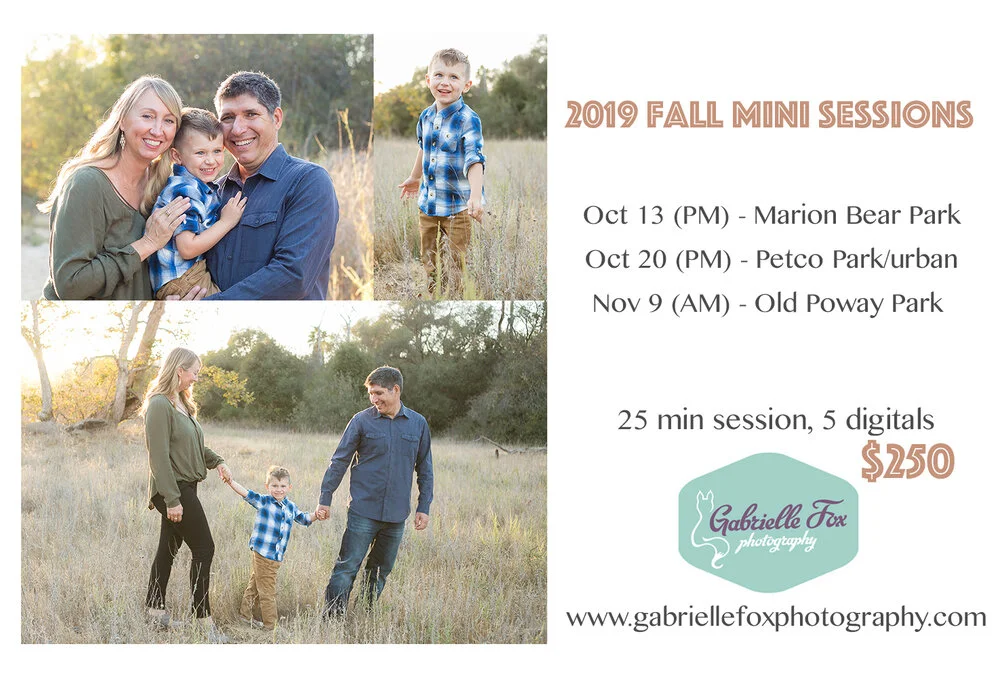 fall mini sessions.jpg