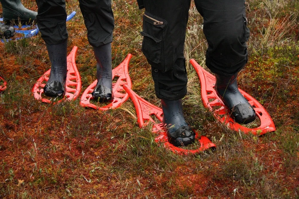 BogShoes.jpg