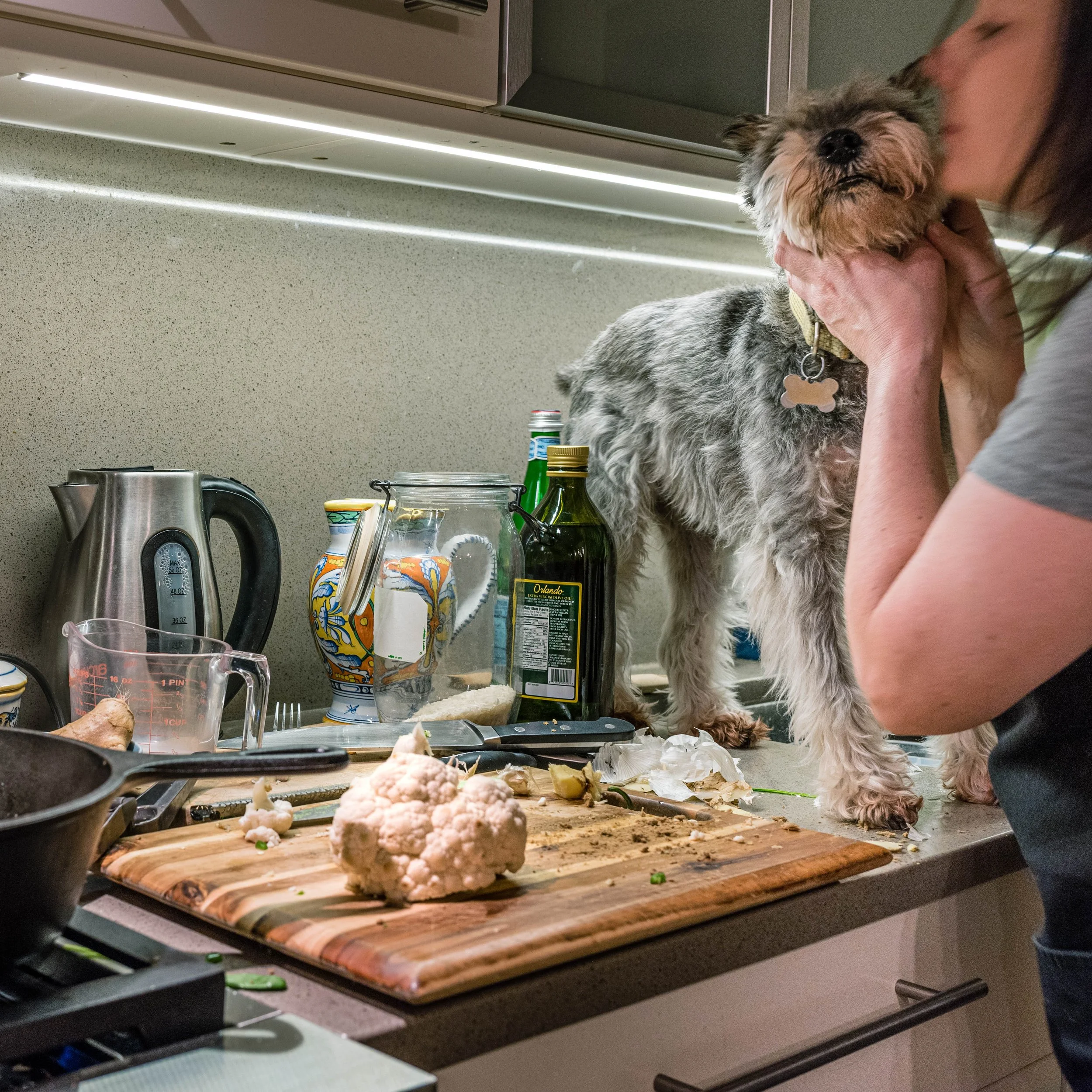 What Is My Dog Really Trying to Tell Me About Food?