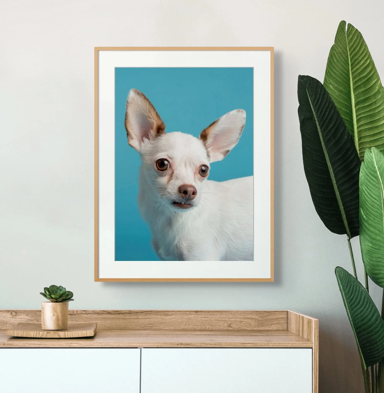 Chihuahua Dog Portrait