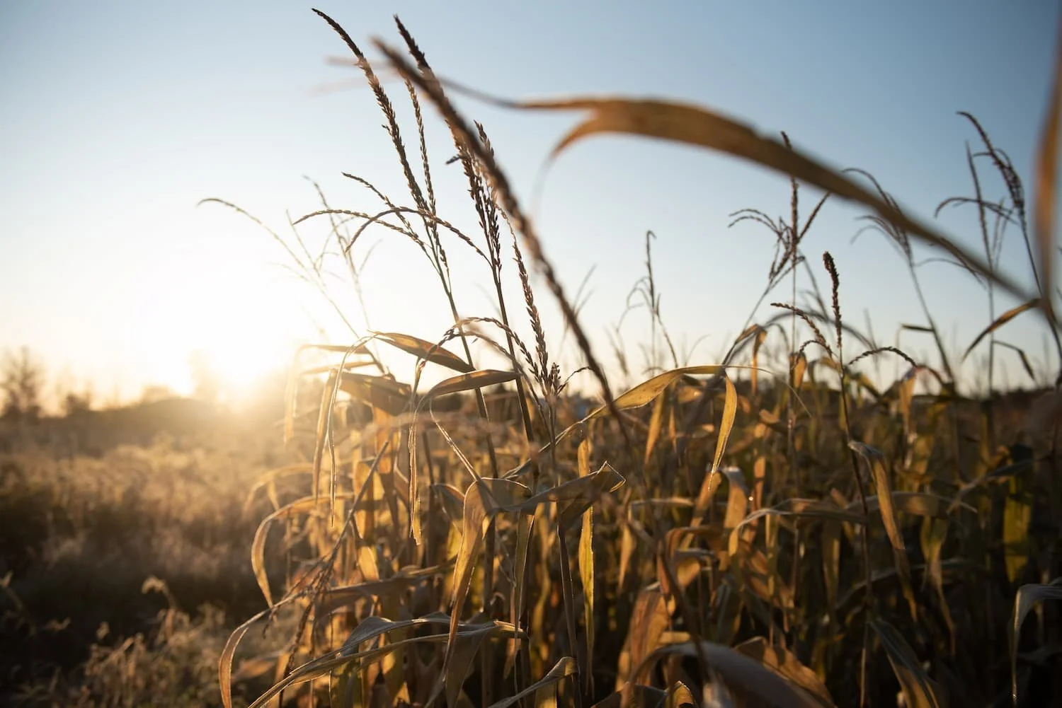 What the Grief Was Really About