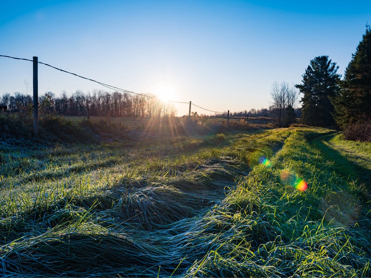 She Knows What Matters