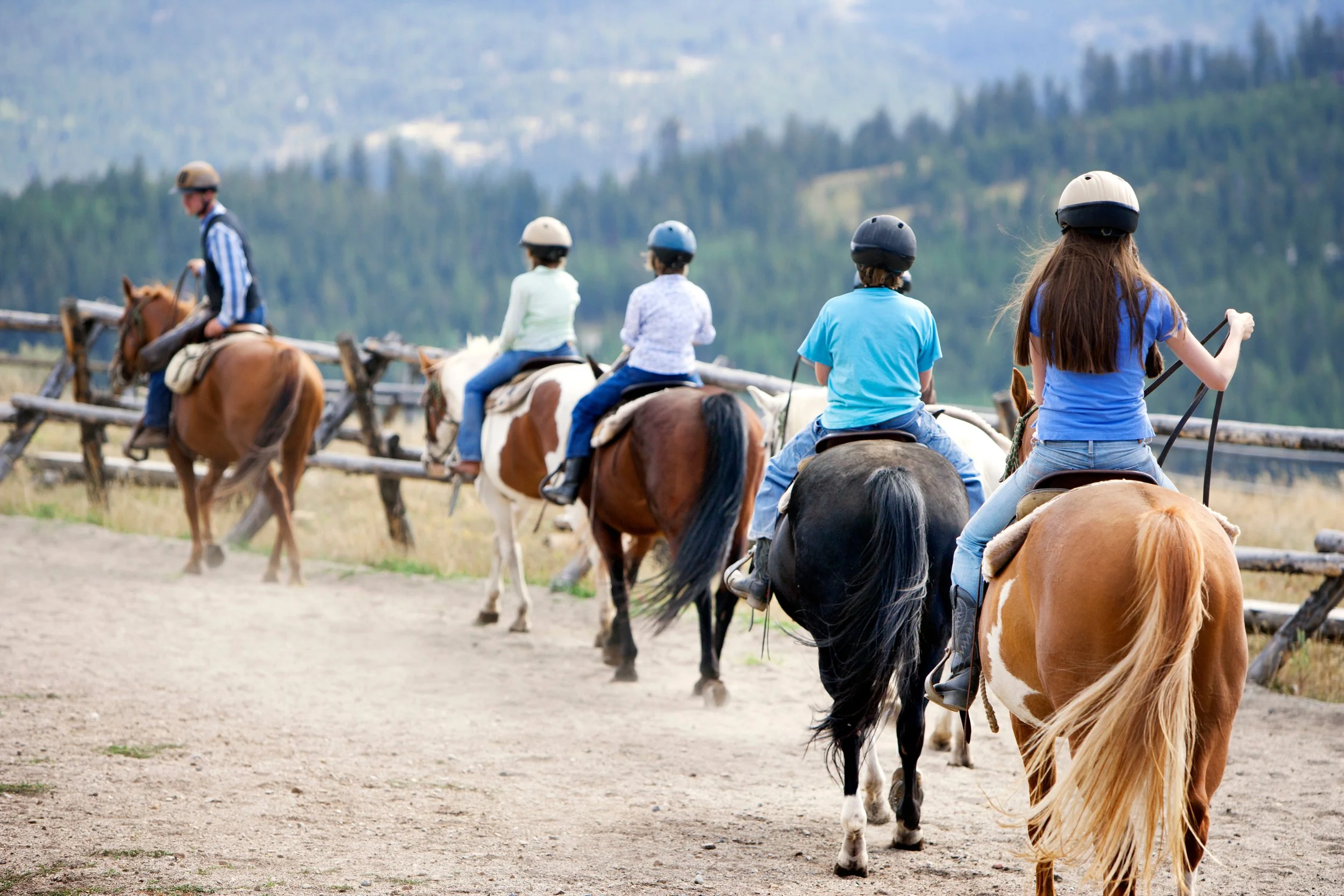 Touring Canmore: What Tours Should You Try During Your Vacation?