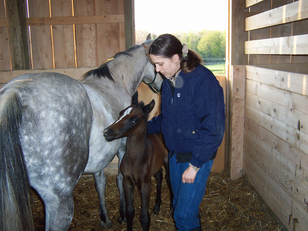 Niner and Glory, on his first day of life!