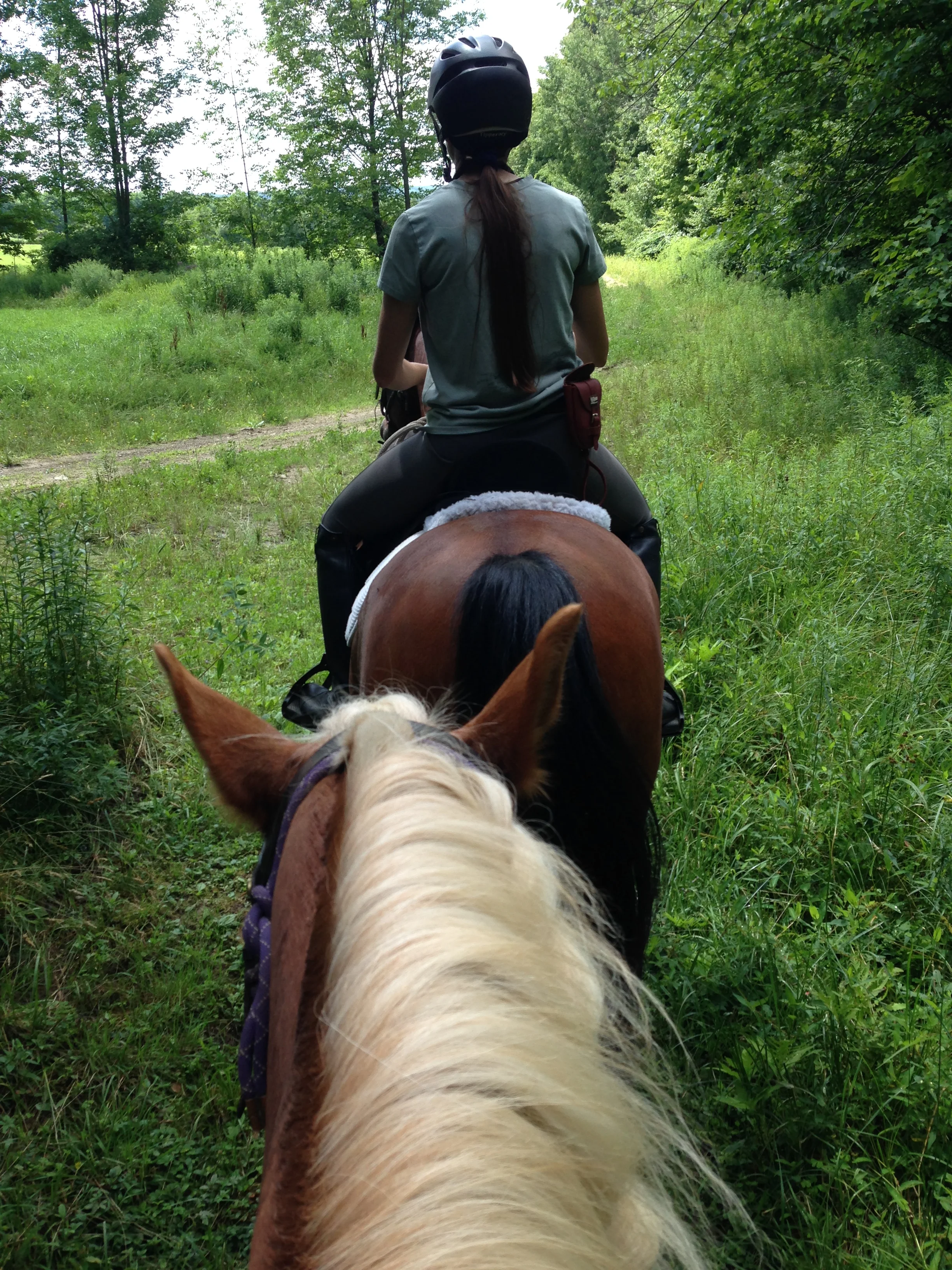 Lanie's lovely mane and Khaliel and Caroline's rears.