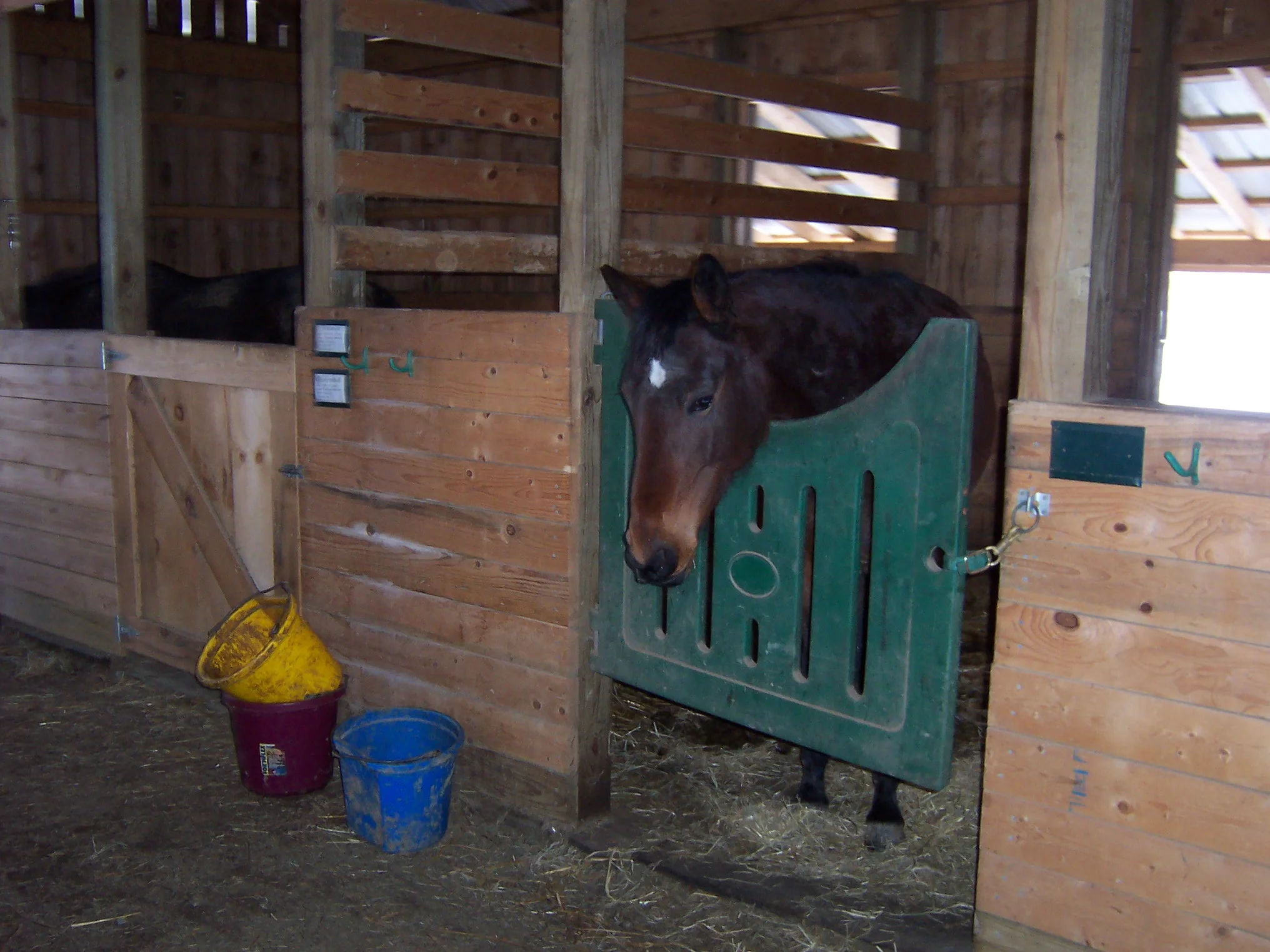 Nina, just hanging out.