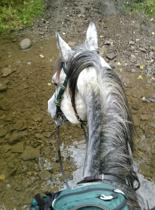 glory on trail
